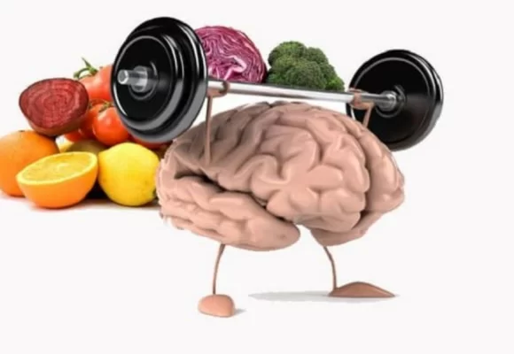  5 Nutrientes Esenciales para mantener un Cerebro Activo y Sano
